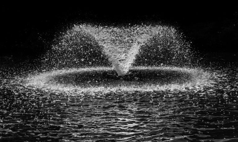 Fontaine de jardin : Comment choisir et installer ce charmant élément d’ornement ?